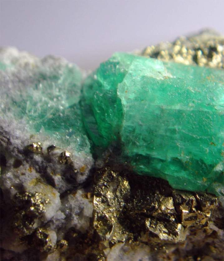 Un souffle nouveau, une voix et un chapitre en gestation